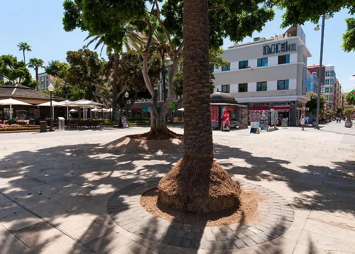 Kasa Las Palmas de Gran Canaria