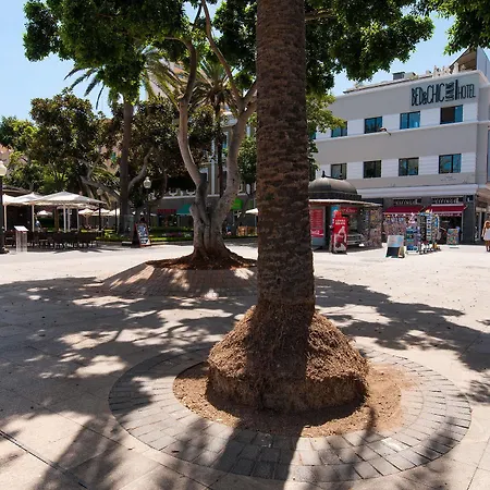 Kasa Las Palmas de Gran Canaria